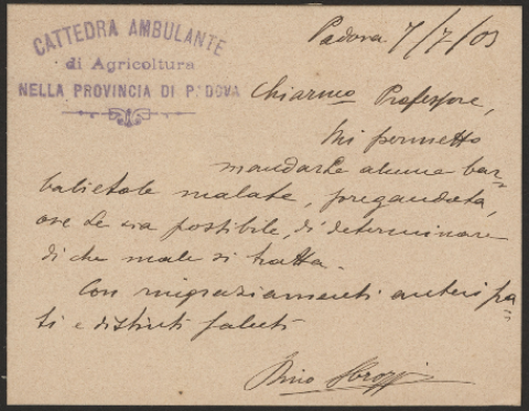 Anteprima dell'oggetto