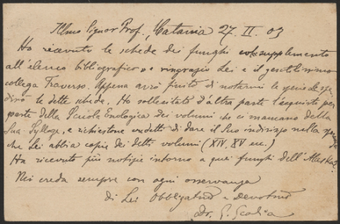 Anteprima dell'oggetto