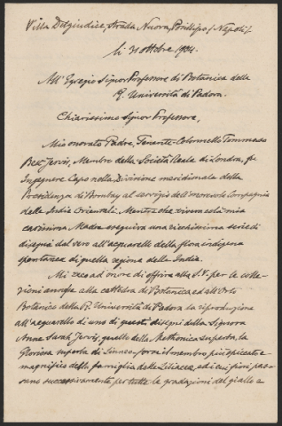 Anteprima dell'oggetto