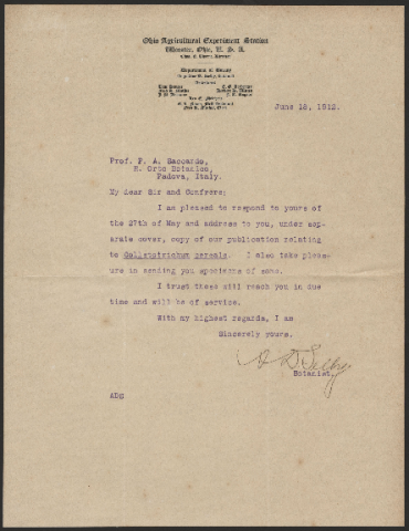 Anteprima dell'oggetto