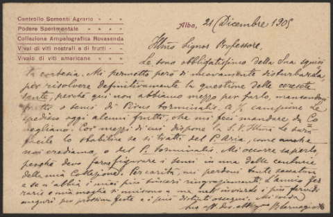 Anteprima dell'oggetto