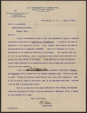 Anteprima dell'oggetto