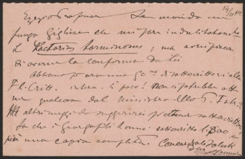 Anteprima dell'oggetto