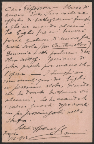 Anteprima dell'oggetto