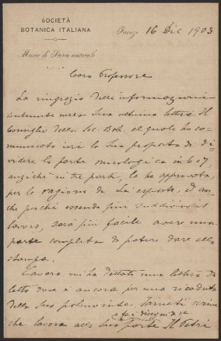 Anteprima dell'oggetto