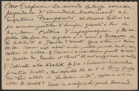 Anteprima dell'oggetto