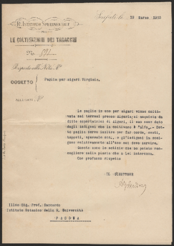 Anteprima dell'oggetto