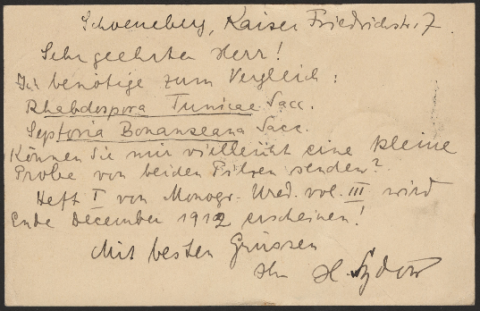 Anteprima dell'oggetto