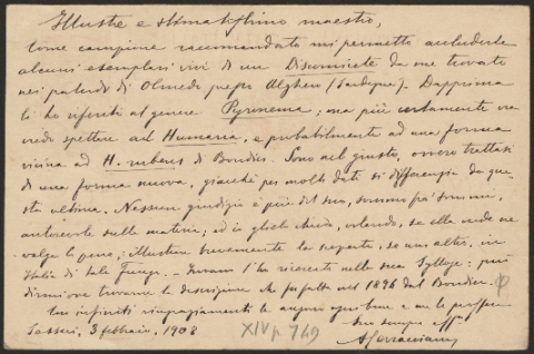 Anteprima dell'oggetto