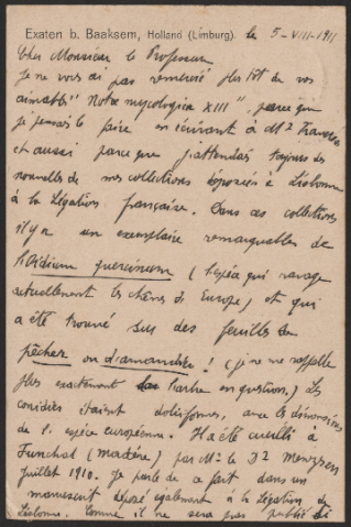 Anteprima dell'oggetto