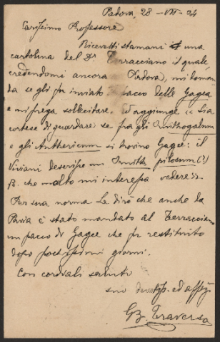 Anteprima dell'oggetto