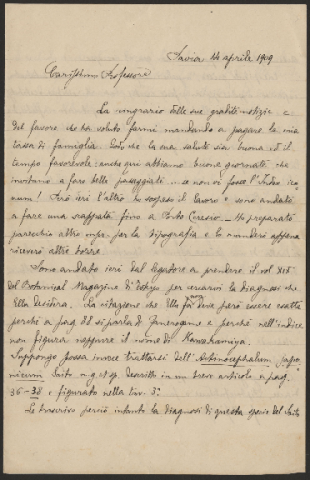 Anteprima dell'oggetto