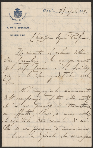 Anteprima dell'oggetto