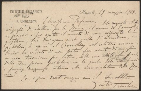 Anteprima dell'oggetto