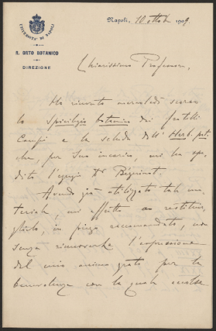 Anteprima dell'oggetto