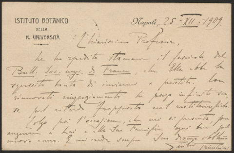 Anteprima dell'oggetto