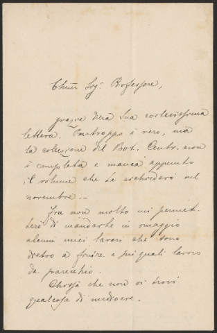 Anteprima dell'oggetto