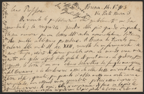 Anteprima dell'oggetto