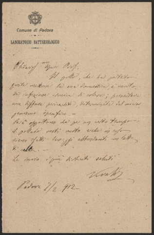 Anteprima dell'oggetto