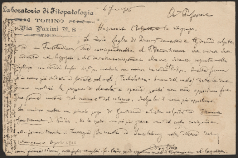 Anteprima dell'oggetto