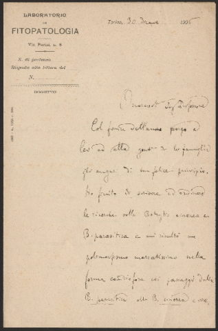 Anteprima dell'oggetto