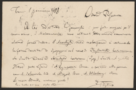 Anteprima dell'oggetto