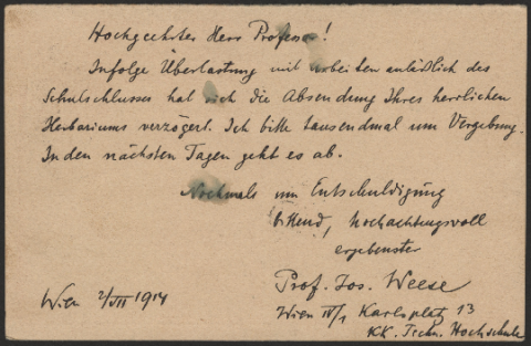 Anteprima dell'oggetto