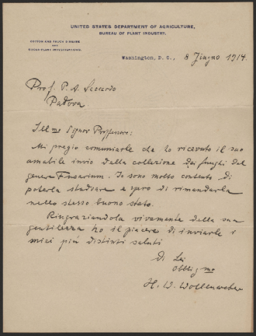 Anteprima dell'oggetto