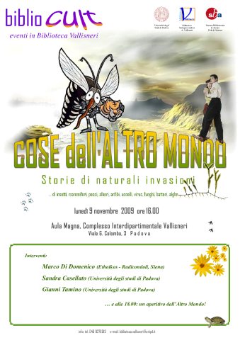 Anteprima dell'oggetto