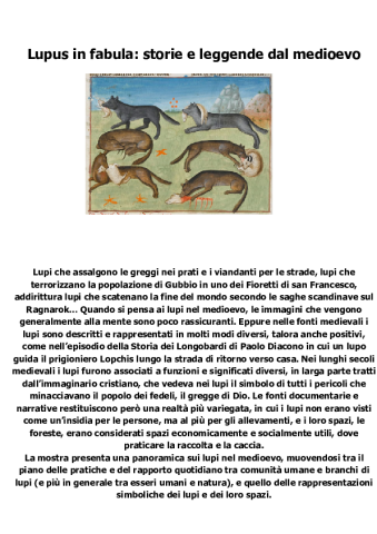 Anteprima dell'oggetto