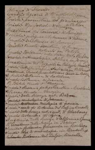 Anteprima dell'oggetto