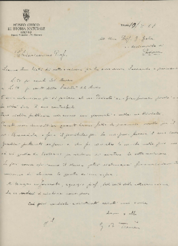 Anteprima dell'oggetto