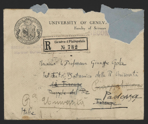 Anteprima dell'oggetto