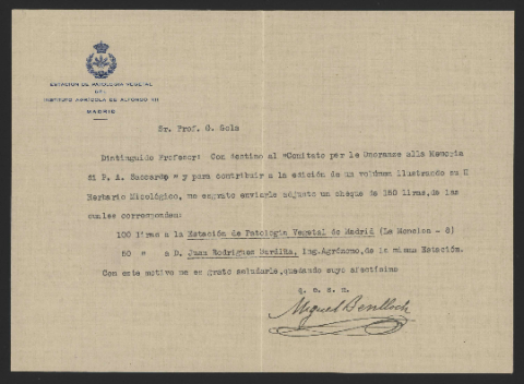 Anteprima dell'oggetto