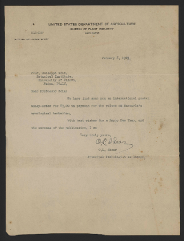 Anteprima dell'oggetto