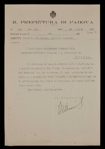 Anteprima dell'oggetto