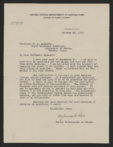 Anteprima dell'oggetto