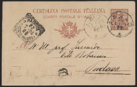 Anteprima dell'oggetto