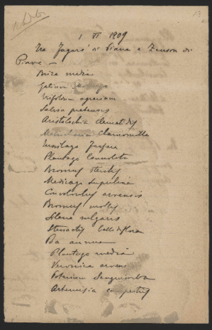 Anteprima dell'oggetto