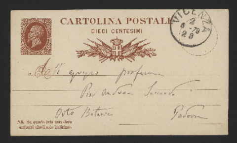 Anteprima dell'oggetto