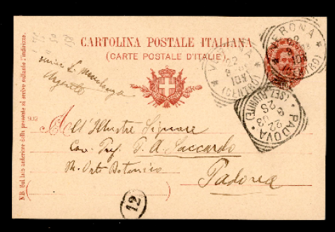 Anteprima dell'oggetto