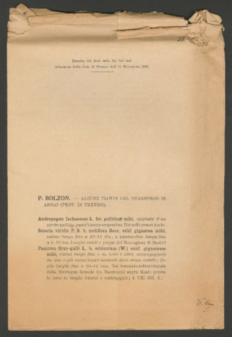 Anteprima dell'oggetto