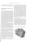 Iscrizione venetica dall'area archeologica del CUS-Piovego (Padova)