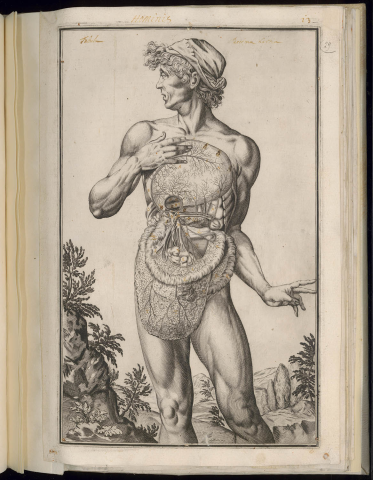 Anteprima dell'oggetto