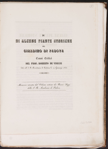 Anteprima dell'oggetto