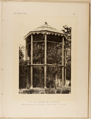 Anteprima dell'oggetto