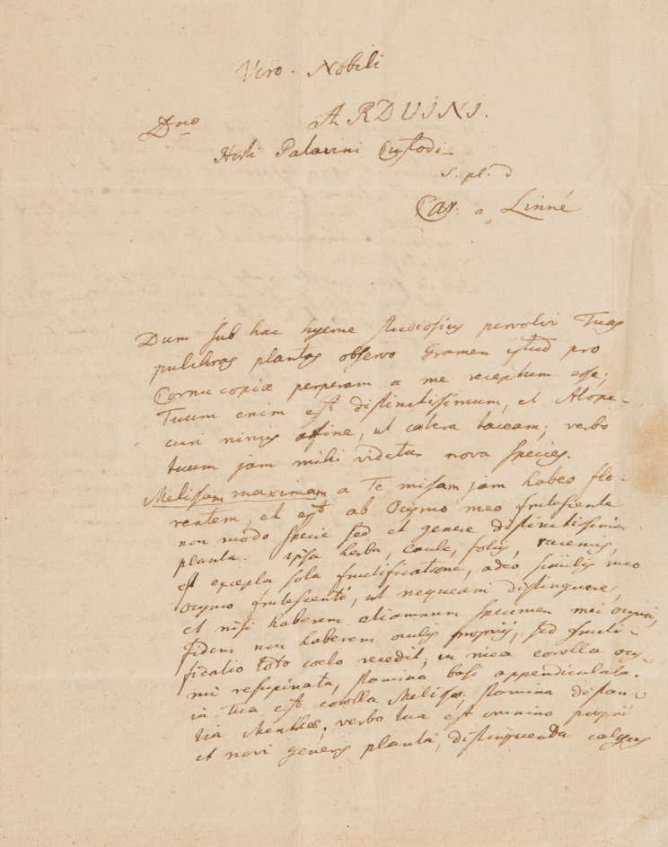 Lettera autografa di Linneo del 1764